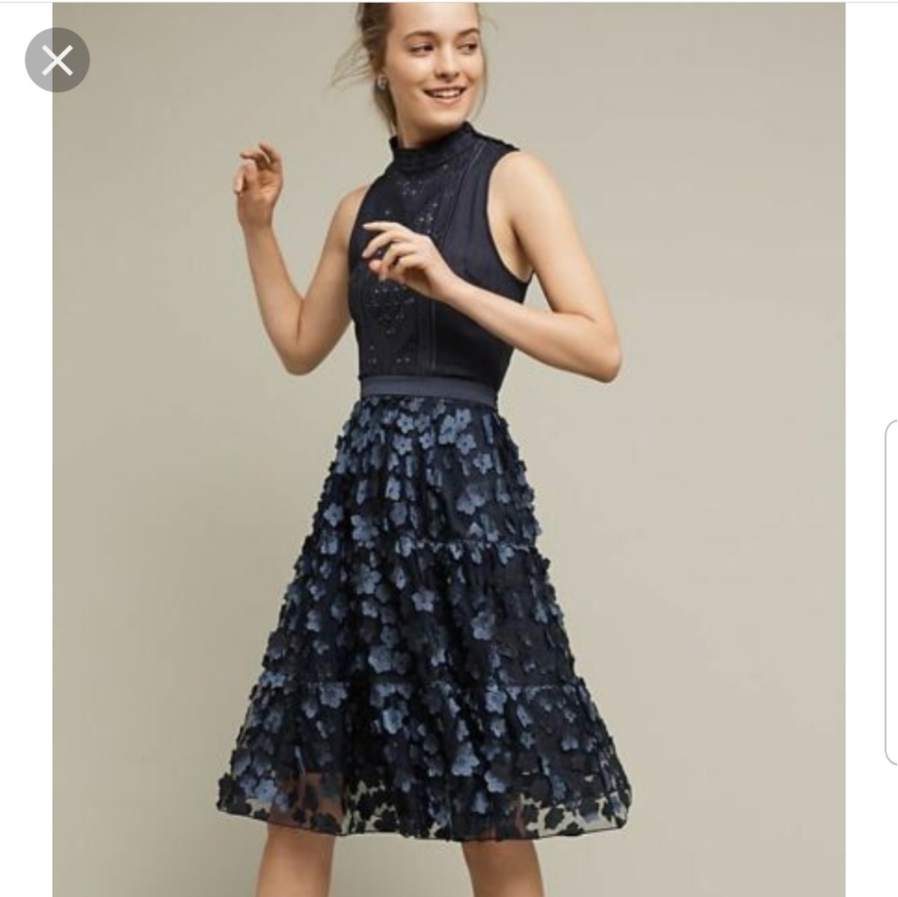 Eva franco Anthropologie skirt
